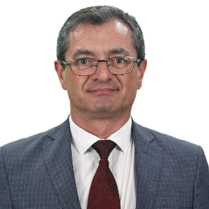 Prof.Ms. Wildemar Roberto Estralioto