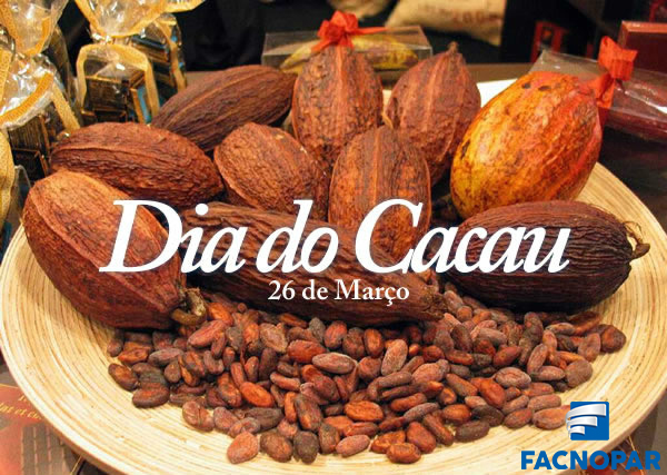 Dia do Cacau